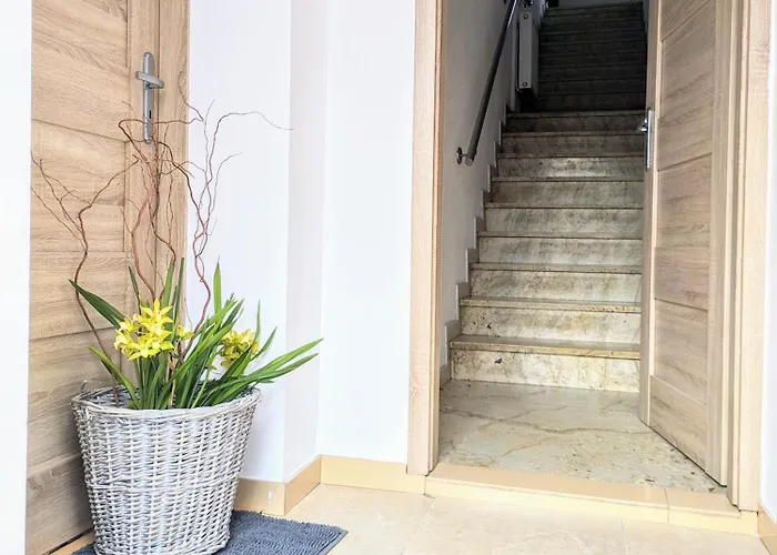 Muelle Sauna Parking Plac Zabaw *